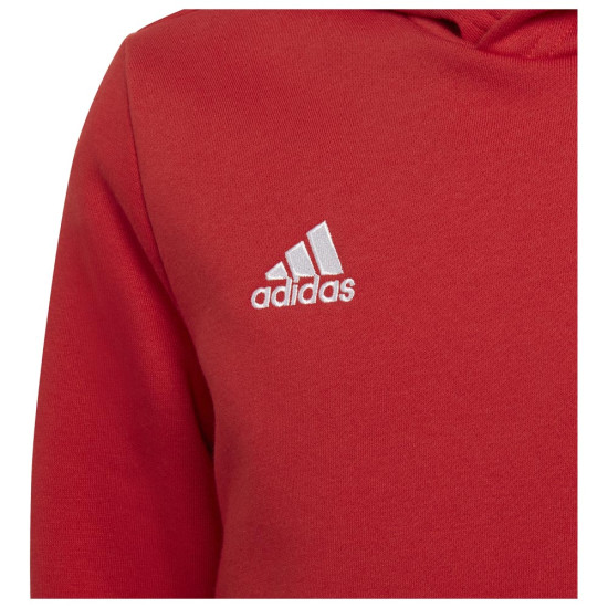 Adidas Παιδικό φούτερ Entrada 22 Hoodie